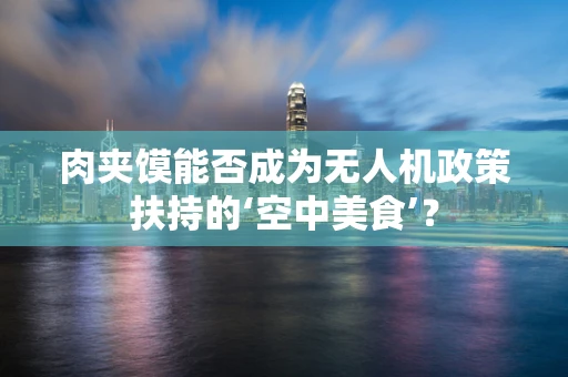 肉夹馍能否成为无人机政策扶持的‘空中美食’？