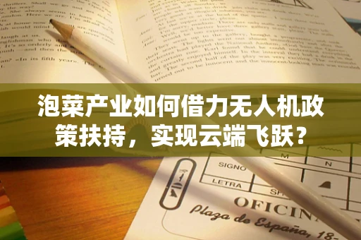 泡菜产业如何借力无人机政策扶持，实现云端飞跃？