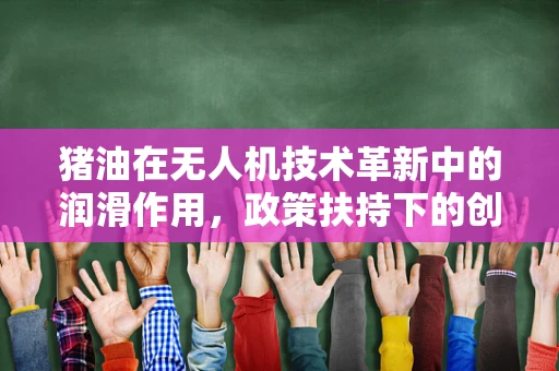 猪油在无人机技术革新中的润滑作用，政策扶持下的创新应用？