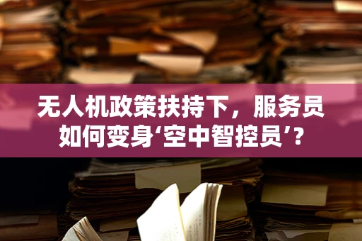 无人机政策扶持下，服务员如何变身‘空中智控员’？
