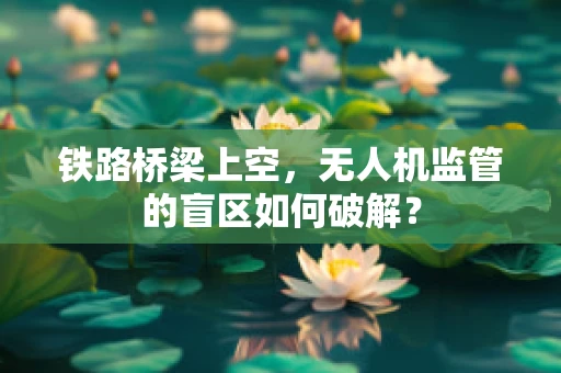 铁路桥梁上空，无人机监管的盲区如何破解？