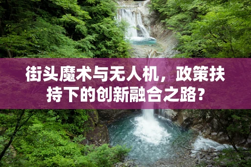 街头魔术与无人机，政策扶持下的创新融合之路？