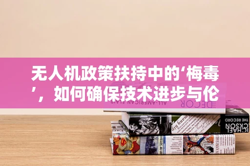 无人机政策扶持中的‘梅毒’，如何确保技术进步与伦理边界的平衡？