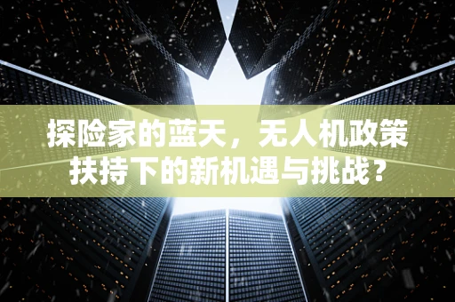 探险家的蓝天，无人机政策扶持下的新机遇与挑战？