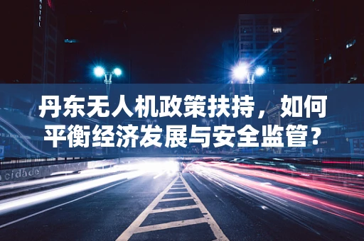 丹东无人机政策扶持，如何平衡经济发展与安全监管？