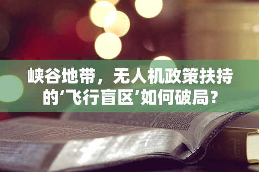 峡谷地带，无人机政策扶持的‘飞行盲区’如何破局？