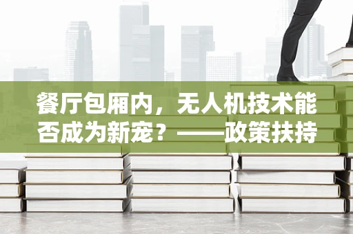 餐厅包厢内，无人机技术能否成为新宠？——政策扶持下的创新应用探索