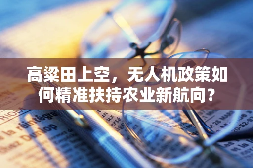 高粱田上空，无人机政策如何精准扶持农业新航向？