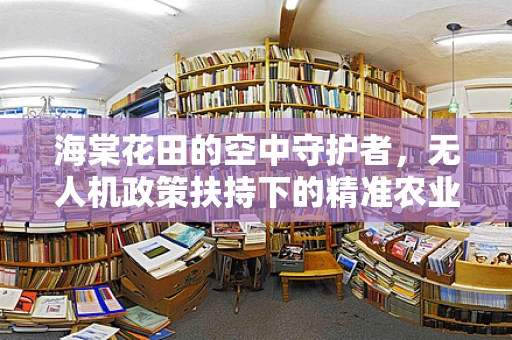 海棠花田的空中守护者，无人机政策扶持下的精准农业新篇章？