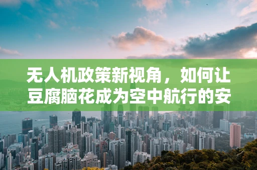 无人机政策新视角，如何让豆腐脑花成为空中航行的安全密码？
