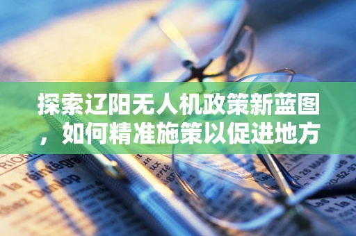 探索辽阳无人机政策新蓝图，如何精准施策以促进地方经济发展？