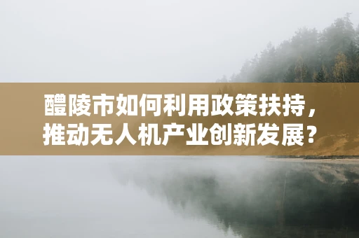醴陵市如何利用政策扶持，推动无人机产业创新发展？