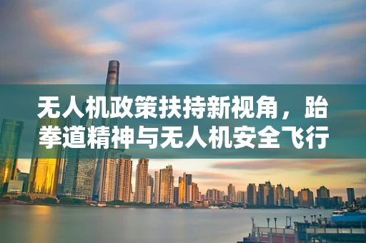 无人机政策扶持新视角，跆拳道精神与无人机安全飞行的融合之道