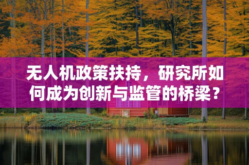 无人机政策扶持，研究所如何成为创新与监管的桥梁？
