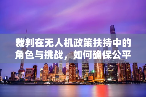 裁判在无人机政策扶持中的角色与挑战，如何确保公平与效率？