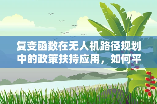复变函数在无人机路径规划中的政策扶持应用，如何平衡安全与效率？