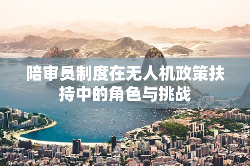 陪审员制度在无人机政策扶持中的角色与挑战