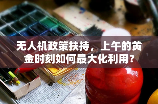 无人机政策扶持，上午的黄金时刻如何最大化利用？