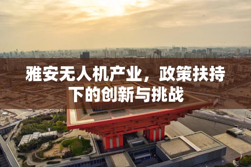 雅安无人机产业，政策扶持下的创新与挑战