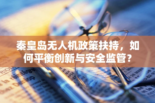 秦皇岛无人机政策扶持，如何平衡创新与安全监管？
