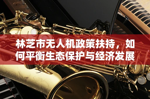 林芝市无人机政策扶持，如何平衡生态保护与经济发展？