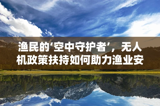 渔民的‘空中守护者’，无人机政策扶持如何助力渔业安全与高效？