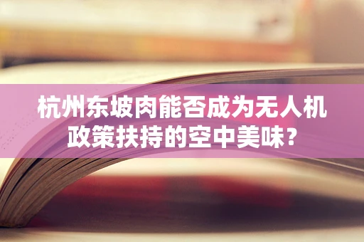 杭州东坡肉能否成为无人机政策扶持的空中美味？