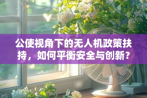 公使视角下的无人机政策扶持，如何平衡安全与创新？
