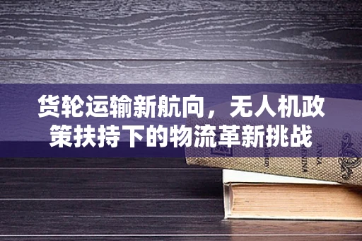货轮运输新航向，无人机政策扶持下的物流革新挑战