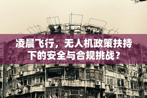 凌晨飞行，无人机政策扶持下的安全与合规挑战？