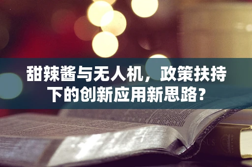 甜辣酱与无人机，政策扶持下的创新应用新思路？