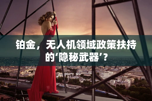 铂金，无人机领域政策扶持的‘隐秘武器’？