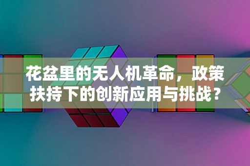花盆里的无人机革命，政策扶持下的创新应用与挑战？