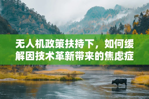 无人机政策扶持下，如何缓解因技术革新带来的焦虑症？