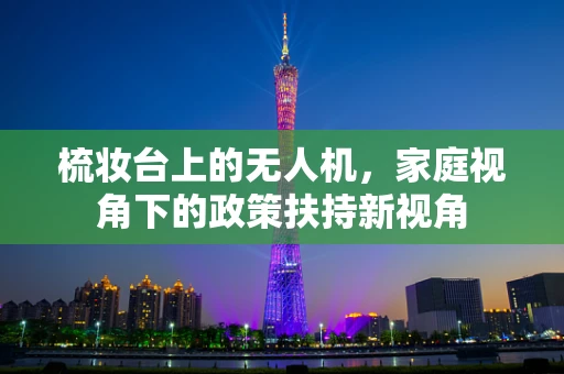 梳妆台上的无人机，家庭视角下的政策扶持新视角