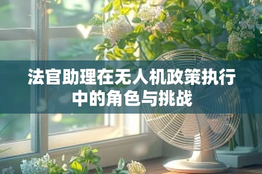 法官助理在无人机政策执行中的角色与挑战