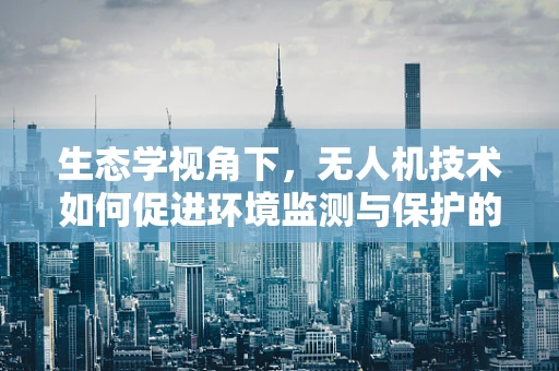 生态学视角下，无人机技术如何促进环境监测与保护的协同发展？
