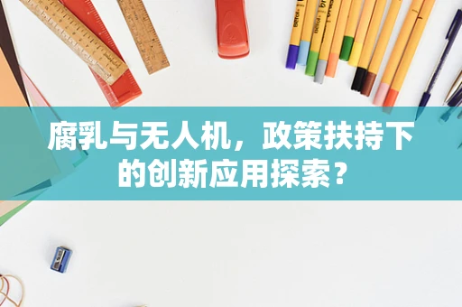 腐乳与无人机，政策扶持下的创新应用探索？