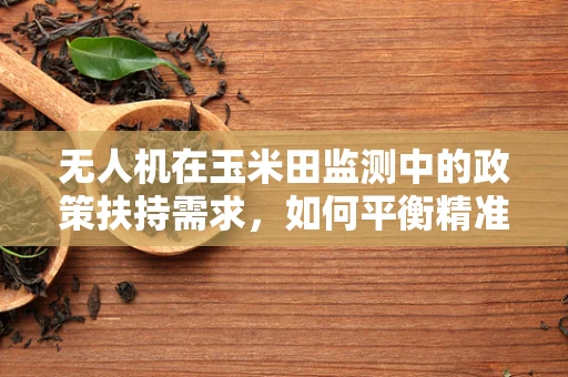 无人机在玉米田监测中的政策扶持需求，如何平衡精准农业与隐私保护？