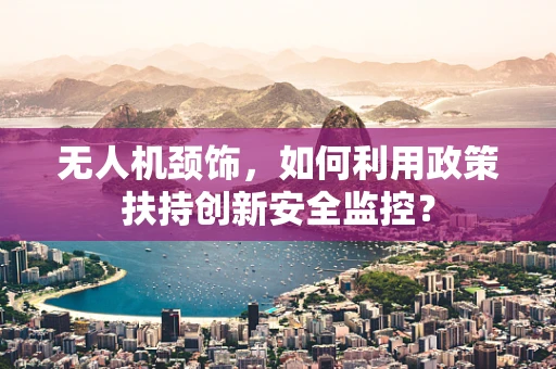 无人机颈饰，如何利用政策扶持创新安全监控？