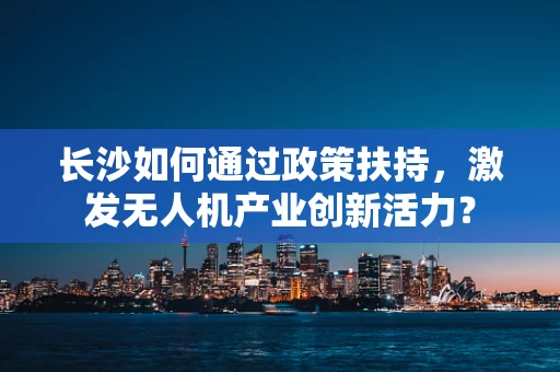 长沙如何通过政策扶持，激发无人机产业创新活力？