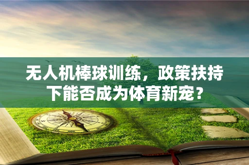 无人机棒球训练，政策扶持下能否成为体育新宠？
