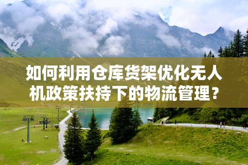 如何利用仓库货架优化无人机政策扶持下的物流管理？