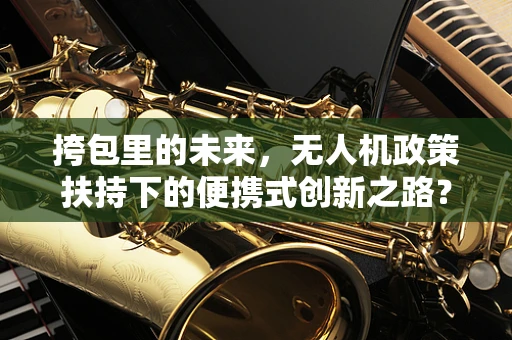 挎包里的未来，无人机政策扶持下的便携式创新之路？