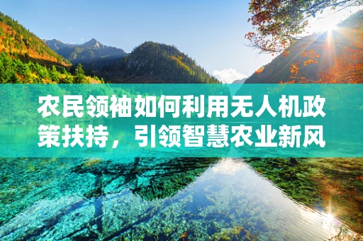 农民领袖如何利用无人机政策扶持，引领智慧农业新风尚？