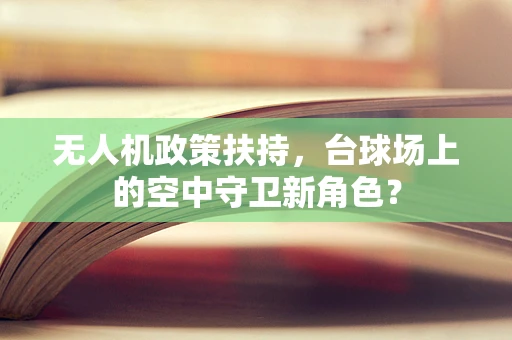 无人机政策扶持，台球场上的空中守卫新角色？