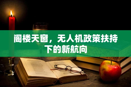 阁楼天窗，无人机政策扶持下的新航向