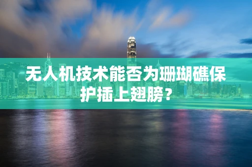 无人机技术能否为珊瑚礁保护插上翅膀？