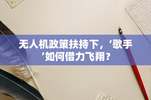 无人机政策扶持下，‘歌手’如何借力飞翔？