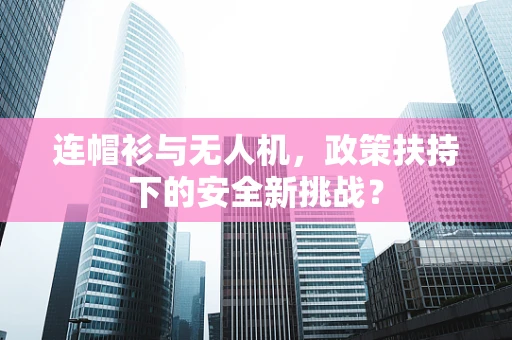 连帽衫与无人机，政策扶持下的安全新挑战？